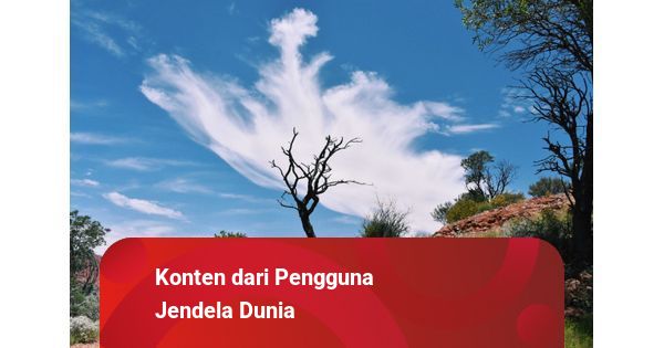 Sawah Nongkrong: Santai di Tengah Hijauan Cilacap yang Menyegarkan